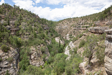Fototapeta na wymiar Walnut Canyon National Monument near Flagstaff in Arizona, USA