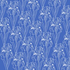 White contour of irises on a blue background. Trendy illustrated pattern for corporate identity, stationery, packaging and wallpaper.  Minimalistic floral background.  Flower forms