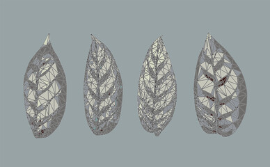 Vector grey dracaena leaves set isolated. Detailed and accurate design elements in low poly style and different positions.