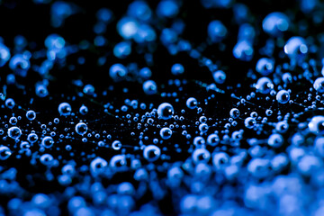 Natural backdrop made of spiderweb.Delicate thread connections of ornamental wet web with lots of macro round sparkling waterdrops in blue and black tones