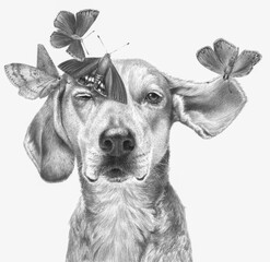 Monochrome portrait of a dog with butterflies isolated on a white background. Realistic monochrome pencil drawing.