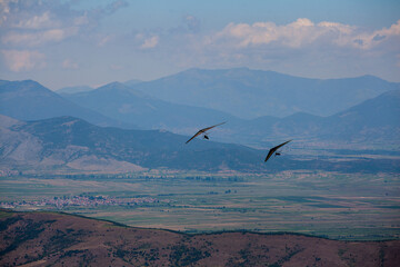 Hang glider flying in the mountains in Makedonia during European championship