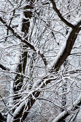 Gra Nevada 6