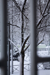 Gra Nevada 10 © Criis