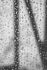 Lluvia de Invierno 2