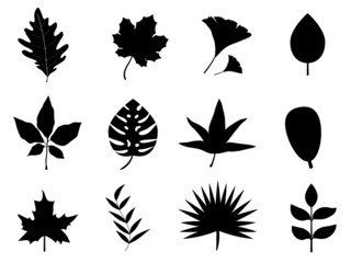 Fototapeta na wymiar set of leaves silhouettes