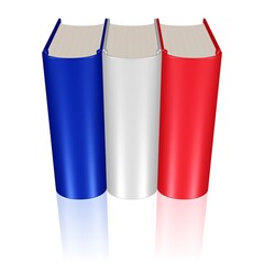 drei Bücher in den Farben der französischen Flagge