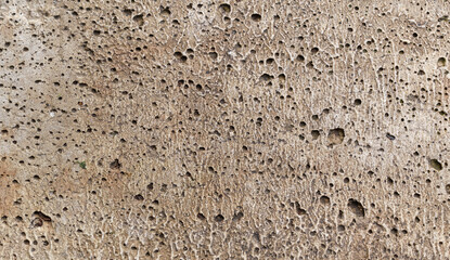 Porous concrete surface. Caverns, cracks. Color - Squirrel, Hue Brown.
