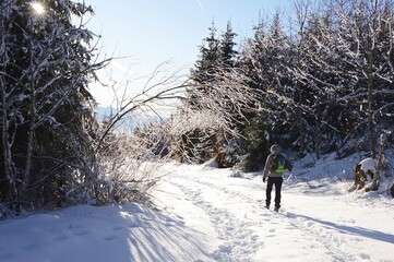 A hiker from the back hiking in the mountains