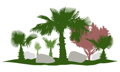 Decorative palm trees silhouette, beautiful garden, stone. Vector illustration