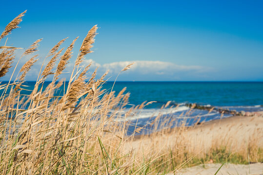 Sandd&uuml;nen an der Ostsee im Hintergrund die Ostsee von K&uuml;hlungsborn, Mecklenburg-Vorpommern, Deutschland