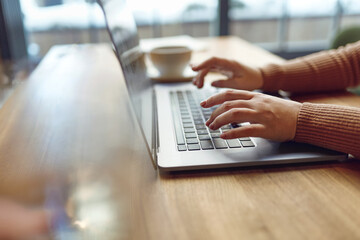 Female freelancer using wireless laptop at cafe
