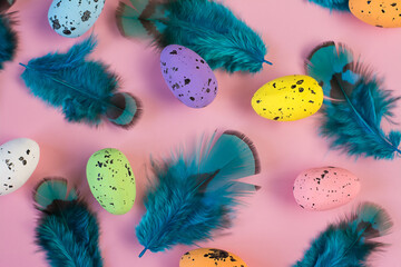 Colored easter eggs and blue feather on a pink background