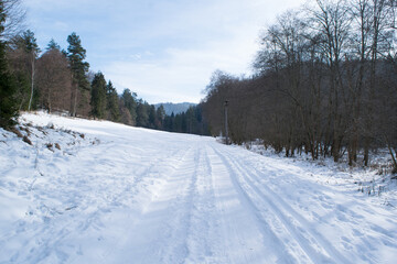 Fototapeta na wymiar Snowy road in forest in winter