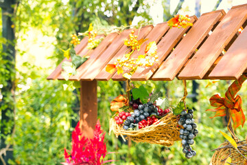 秋薔薇の咲く横浜イングリッシュガーデン