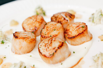 grilled scallop on plate