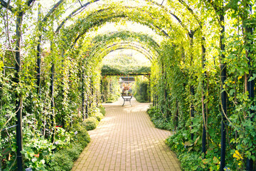 秋薔薇の咲く横浜イングリッシュガーデン