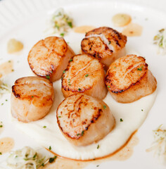 grilled scallop on plate