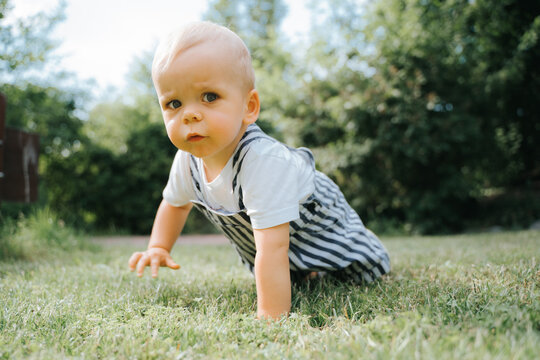 cute toddler crawling on lawn