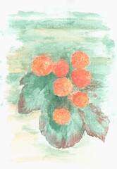 cloudberry 