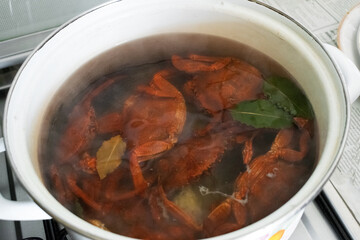 Cooking delicious red crabs in a pot with bay leaves