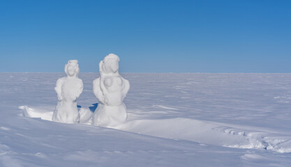snow figure on sea ice