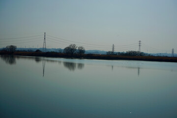 水面と電柱と茂み