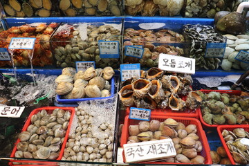 수산시장의 수조 안에 들어 있는 싱싱한 해산물