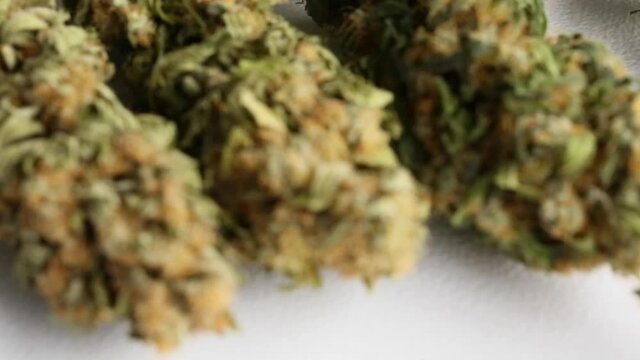 A closeup shot of medical cannabis marijuana flower strains