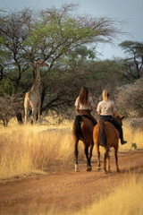 Two women ride towards southern giraffe browsing