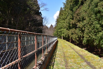 Fototapeta premium 町外れの水路の側道