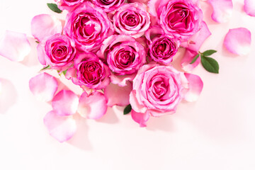 Pink roses