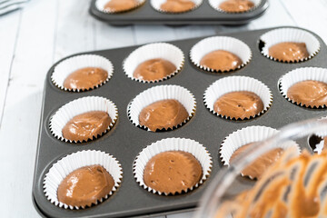 Chocolate raspberry cupcakes