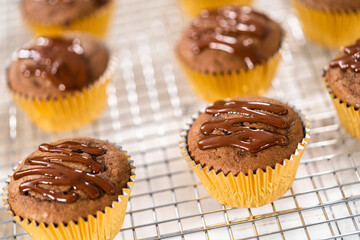 Chocolate raspberry cupcakes