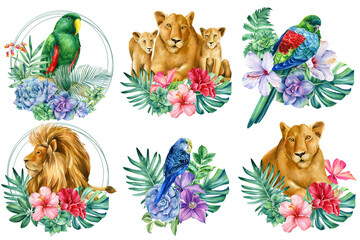 Set of cute african animals, childrens poster with lions and parrots, watercolor illustration