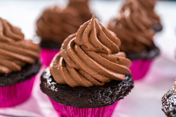 Chocolate ganache cupcake
