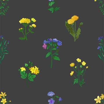 Seamless pattern with wild flowers, herbs, plants isolated on gray. Floral decorative background in vintage botanical style for wrapping paper, wallpaper, printing on fabric. Vector illustration.