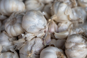 bunch of garlic