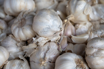 fresh garlic on market