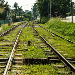 railway in the countryside