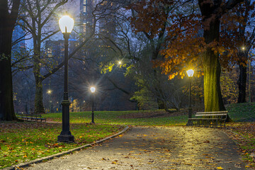 Obraz premium Autumn in Central Park
