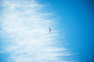 red hang glider against blue sky