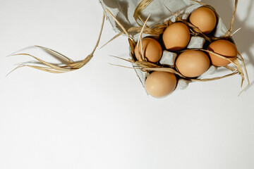 Chicken eggs in a paper tray on a grass straw. top view. Copy space