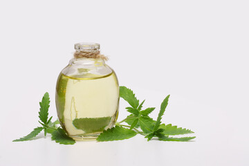Hemp, marijuana and cannabis oil on glass jar.