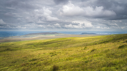 Fototapeta na wymiar Green meadow or bog with long grass, illuminated by sunlight, Cuilcagh Mountain Park, stormy, dramatic sky in background, Northern Ireland