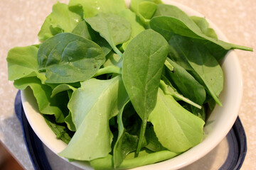A bowl of freshly picked spinach