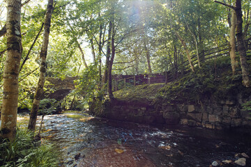 A stream and a stone bridge at the Bowless Visitor Centre Bowlees Tees Valley, County Durham