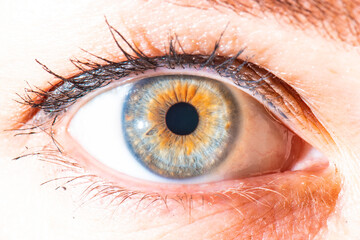 detailed blue eye