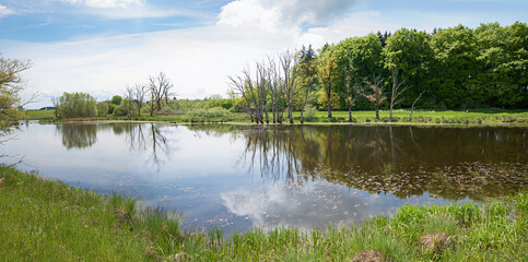 pond landscape, called Erlinger Seachtn, moorland near andechs, upper bavaria