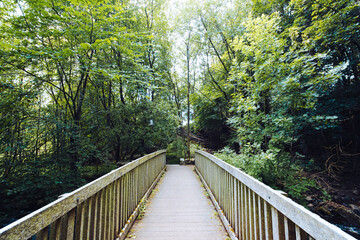 Fototapeta premium A wooden footbridge at the Bowless Visitor Centre Bowlees Tees Valley, County Durham